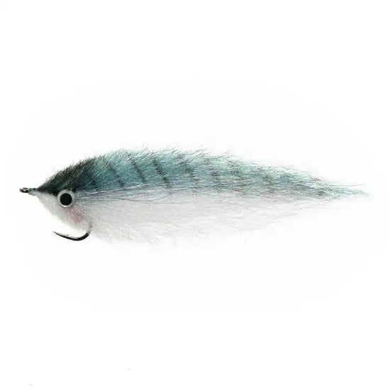 EP Mackerel