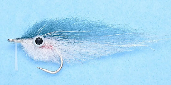 EP Blueback Herring