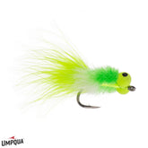 Umpqua Booby Toad
