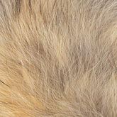 The Fly Hair Co. - Partial Coyote Tail