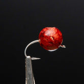 Zippy Flies Ficus Berry