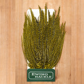 Ewing Saltwater Streamer Patch