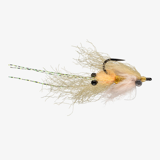 Rio Christmas Mantis