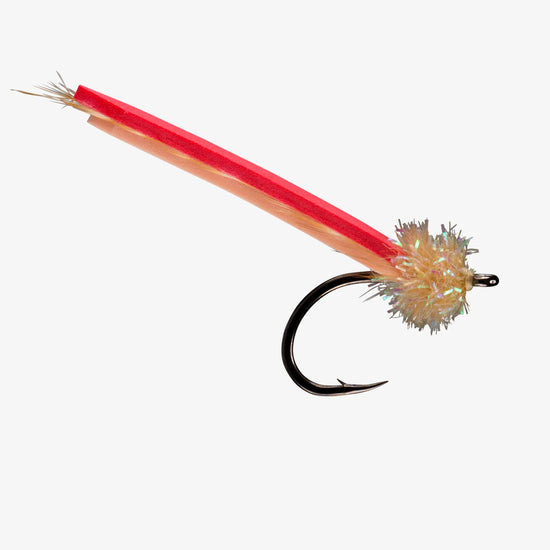 12 Pack - Rio's Palolo Worm