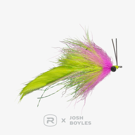 RIO Boyles Swamp Fox