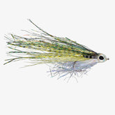 Rio Just Keep Swimmiing