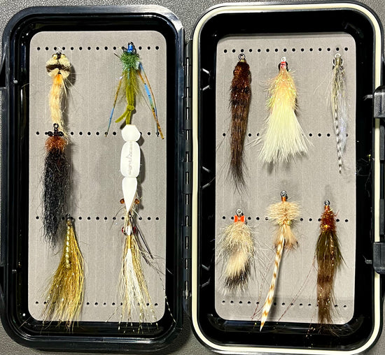 Tailwater Outfitters Redfish Fly Selection