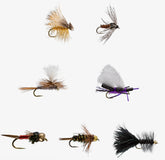 RIO Basic Trout Assortment