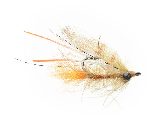 EP Bahamas Shrimp
