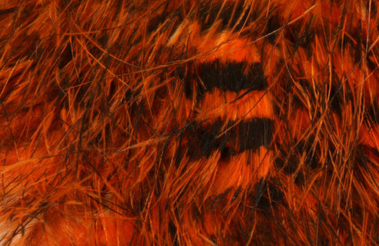 Jailhouse/Barred Marabou