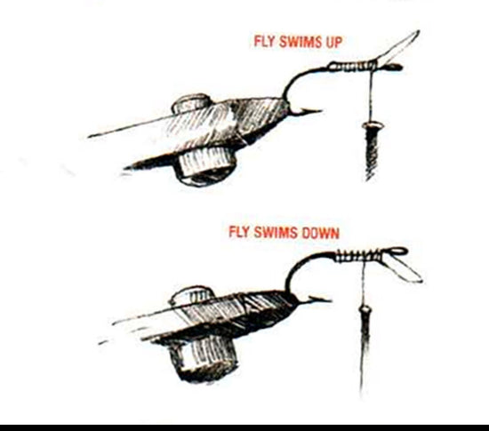 Flylipps