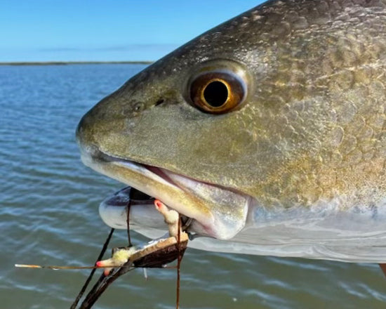 Zippy Flies Improved Gulf Coast Drifter
