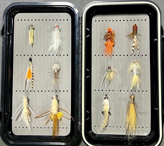 Tailwater Outfitters Bonefish Fly Selection