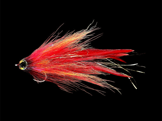 Zippy Flies Flaming Carolla