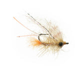 EP Bahamas Shrimp