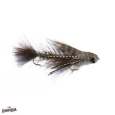 Umpqua Baby Gonga