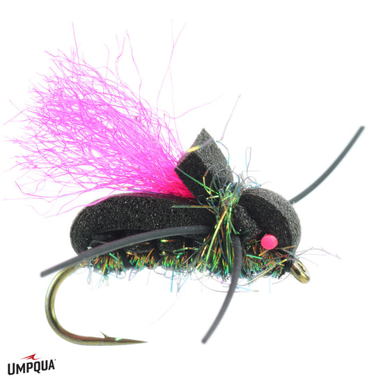 Umpqua Hamburgler Grillos