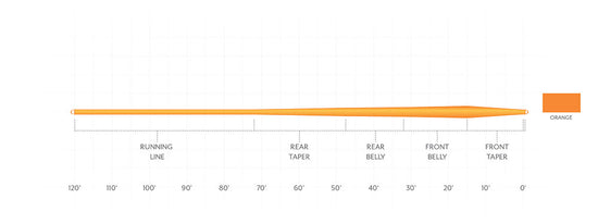 SA Mastery Expert Distance