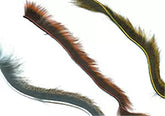 Pine Squirrel Zonker