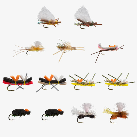 RIO's Terrestrial Assortment