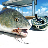 Sight Cast Copper-Top Shrimp