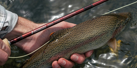 Sage R8 Power Fly Rod