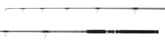Shimano Saguaro - Spinning