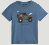 Free Fly Toddler Born To Roam Tee