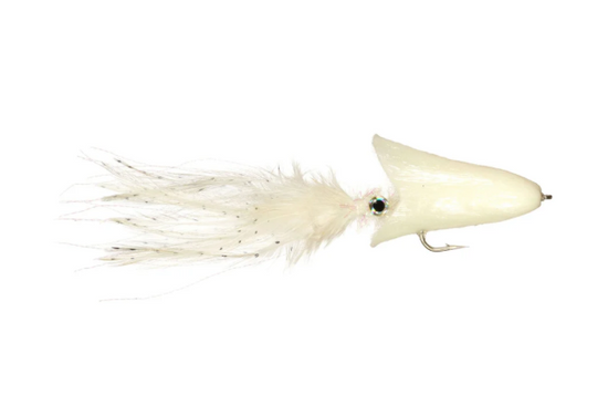 Rainy's Salvini's Alberto's Squid