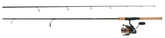 Daiwa BG Spinning Combo