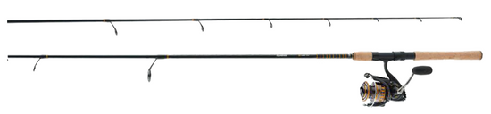 Daiwa BG Spinning Combo
