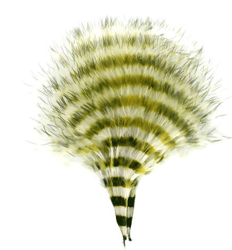 MFC Barred Marabou