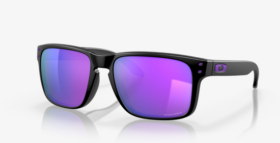 Oakley Holbrook