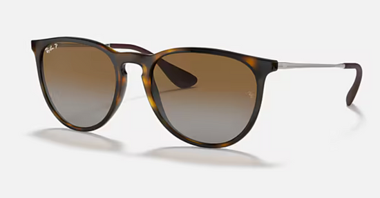 Ray-Ban Erika Classic