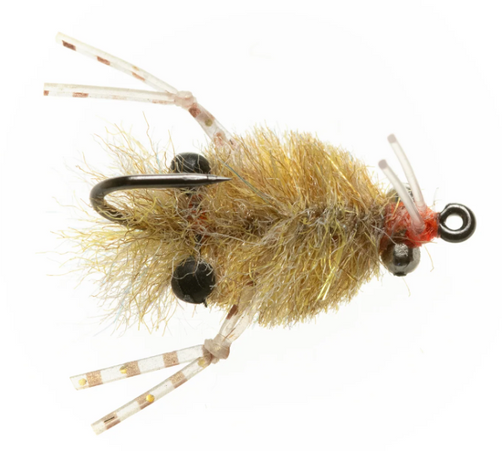 EP Turneffe Micro Crab
