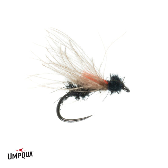 Umpqua Slack Water Ant