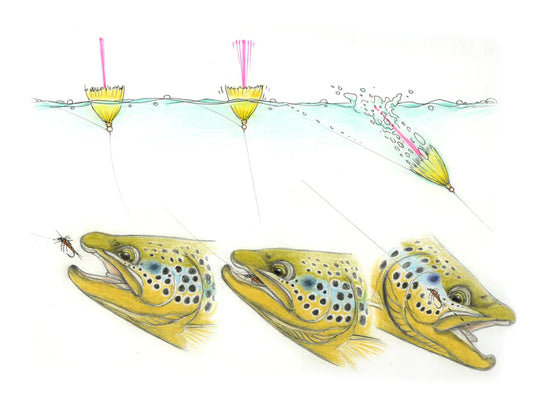 Rainy's Flies Whitlock's TelStrike Indicators - Hi-Viz Combo