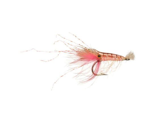 Rainy's Flies Alberto's Shrimp