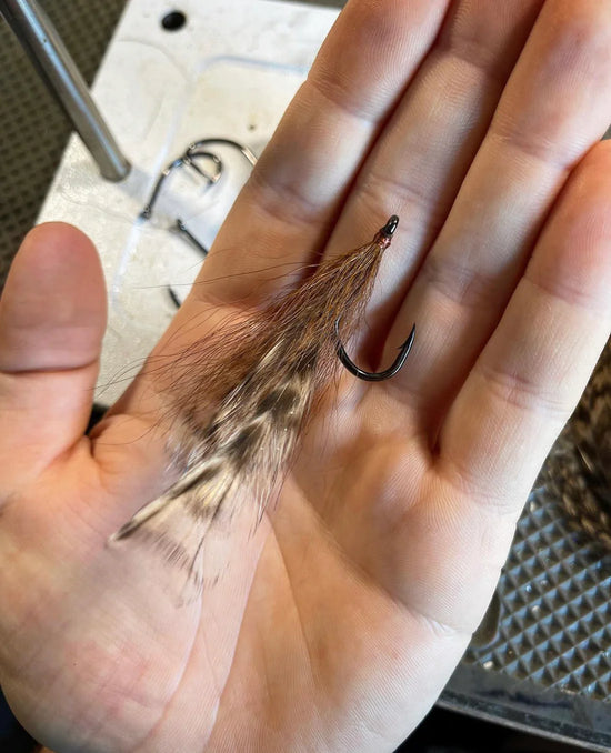 Mac Flies Cockroach