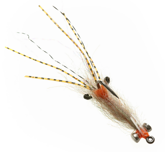 EP Spawning Shrimp