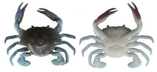 Savage Gear 3D TPECrab