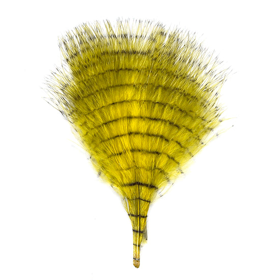 MFC Fine Barred Marabou