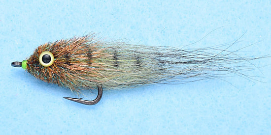 EP Mud Minnow #2