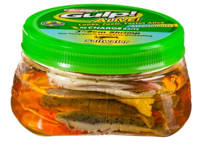 Berkley Gulp Alive 3" Shrimp Tub - TailwaterOutfitters