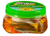 Berkley Gulp Alive 3" Shrimp Tub - TailwaterOutfitters