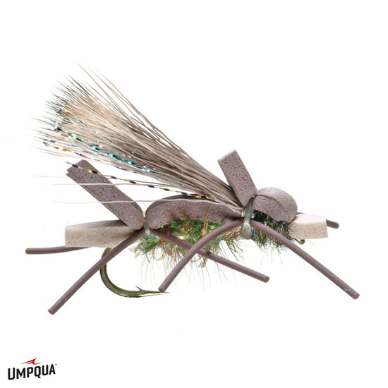 Umpqua Amy's Ant