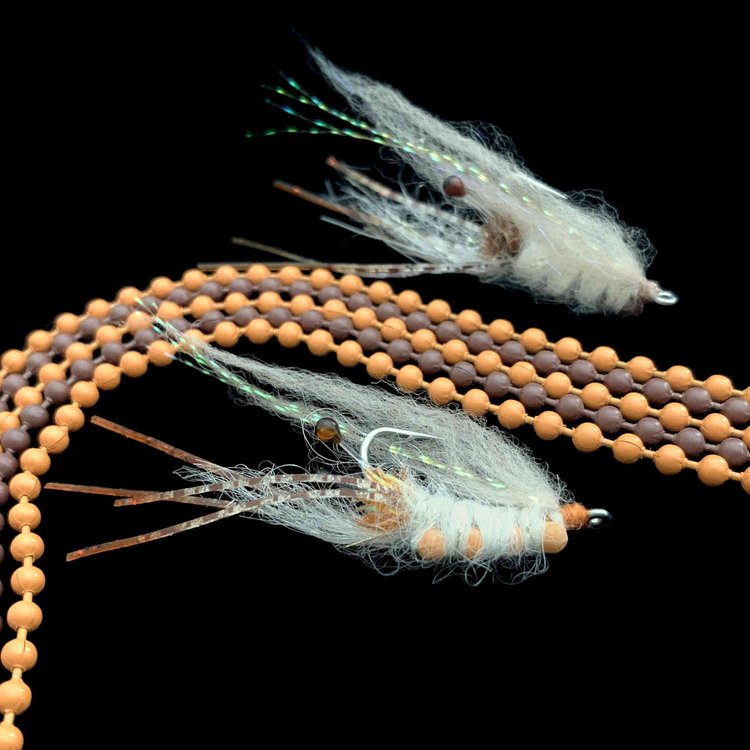 Bead-Back Shrimp