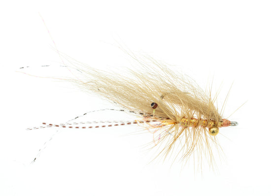 Umpqua Chewy's Halo Shrimp