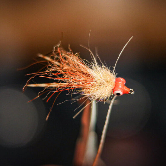 Sight Cast Longhorn Crab