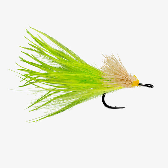 Rio Dread Pirate - Tailwater Outfitters